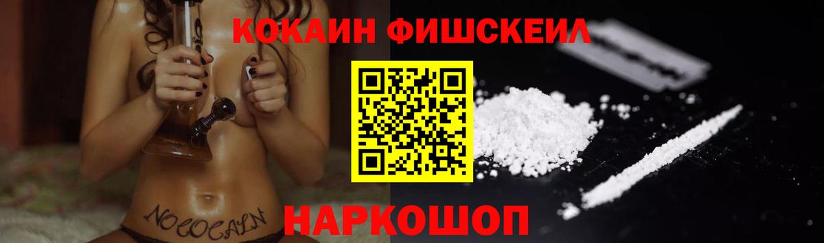 продажа наркотиков  Вход с VPN  COCAIN FishScale  Кудымкар  Кокаин Эквадор 