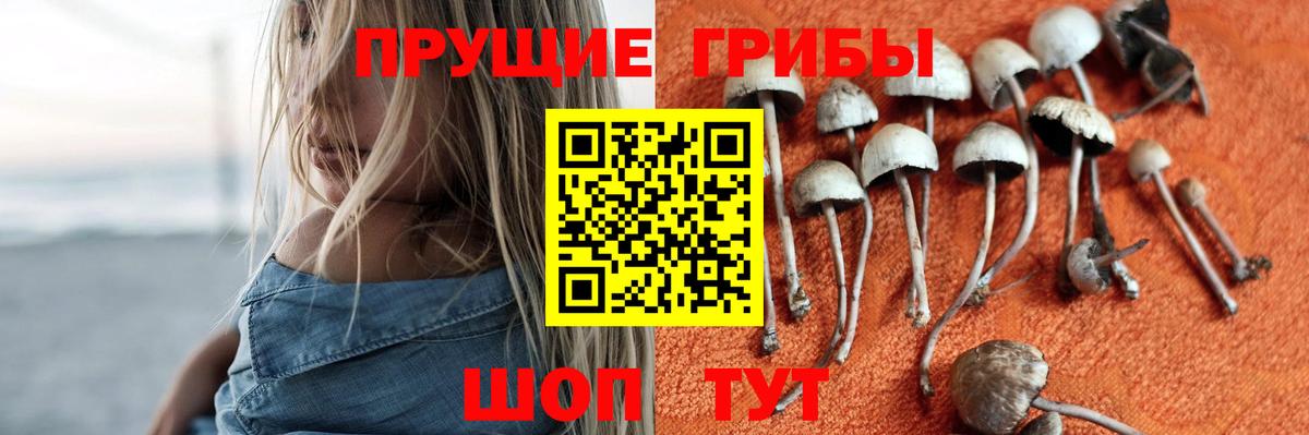 Кудымкар  Псилоцибиновые грибы мухоморы  Вход с VPN 